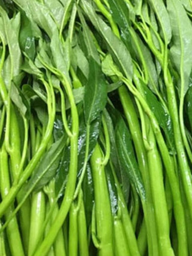 सर्दियों में खाएं ये 7 हरे साग, बढ़ेगी इम्यूनिटी और एनर्जी दोनों